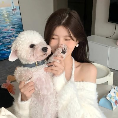 天降神犬2